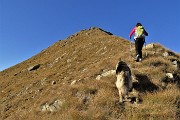 86 In ripida salita in cresta su traccia verso la cima del Pizzo delle Orobie